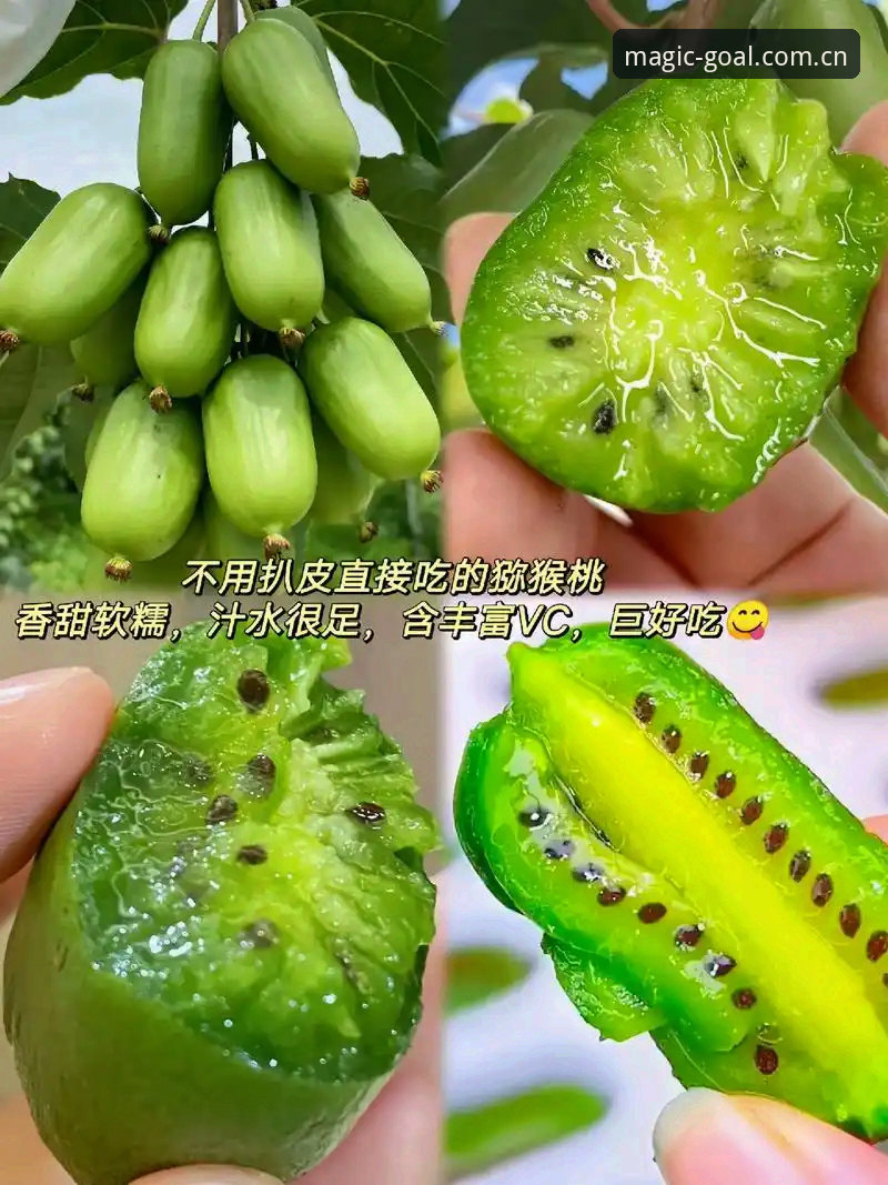 奇异果体育合法性评估与安装实用指南：从下载到体验的全流程解析